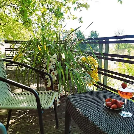 Villa Casa Das Camelias